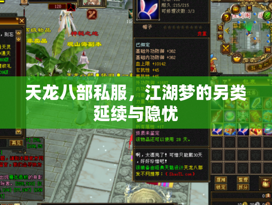 天龙八部私服，江湖梦的另类延续与隐忧