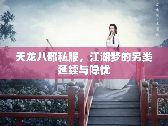 天龙八部私服，江湖梦的另类延续与隐忧