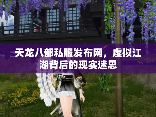 天龙八部私服发布网，虚拟江湖背后的现实迷思