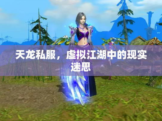 天龙私服，虚拟江湖中的现实迷思