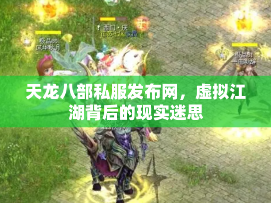 天龙八部私服发布网，虚拟江湖背后的现实迷思