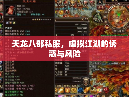 天龙八部私服，虚拟江湖的诱惑与风险