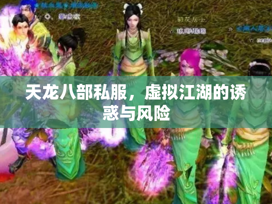 天龙八部私服，虚拟江湖的诱惑与风险