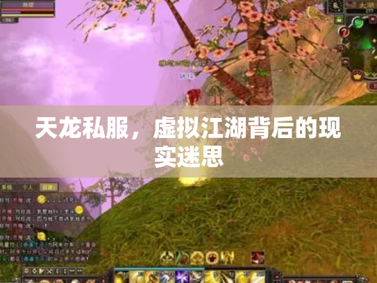 天龙私服，虚拟江湖背后的现实迷思