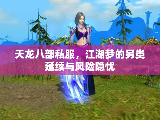 天龙八部私服，江湖梦的另类延续与风险隐忧