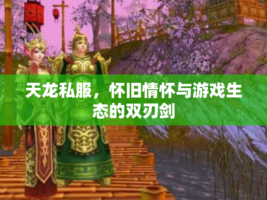 天龙私服，怀旧情怀与游戏生态的双刃剑