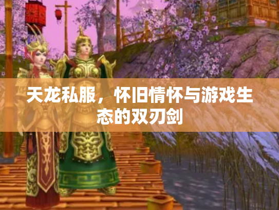 天龙私服，怀旧情怀与游戏生态的双刃剑