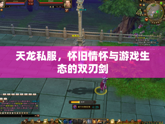天龙私服，怀旧情怀与游戏生态的双刃剑