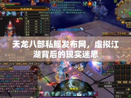 天龙八部私服发布网，虚拟江湖背后的现实迷思