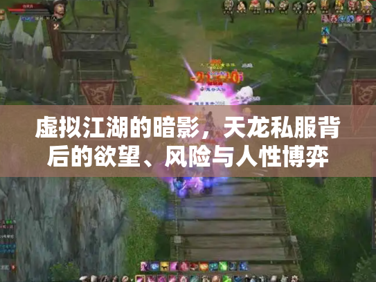 虚拟江湖的暗影，天龙私服背后的欲望、风险与人性博弈