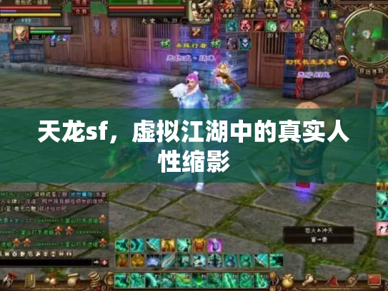天龙sf，虚拟江湖中的真实人性缩影