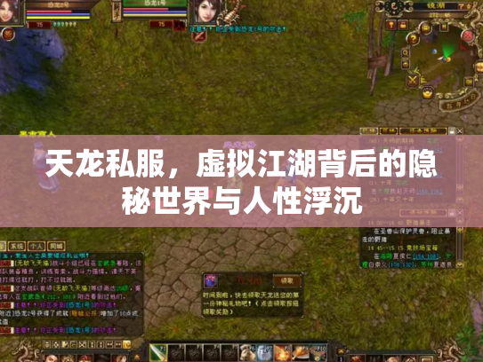 天龙私服，虚拟江湖背后的隐秘世界与人性浮沉