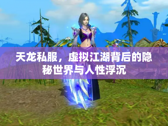 天龙私服，虚拟江湖背后的隐秘世界与人性浮沉