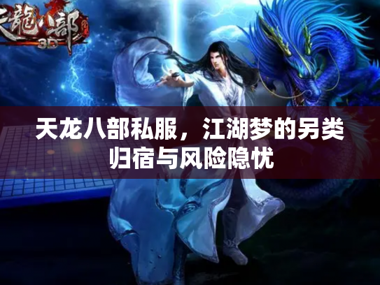 天龙八部私服，江湖梦的另类归宿与风险隐忧