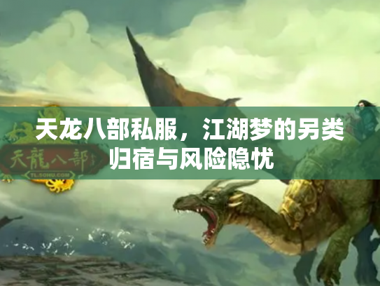 天龙八部私服，江湖梦的另类归宿与风险隐忧