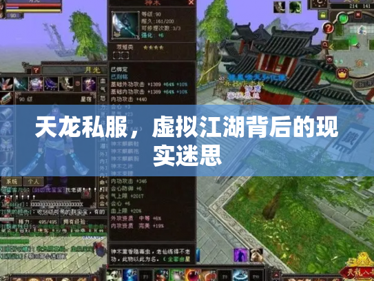 天龙私服，虚拟江湖背后的现实迷思