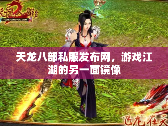 天龙八部私服发布网，游戏江湖的另一面镜像