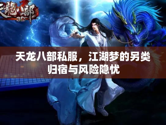 天龙八部私服，江湖梦的另类归宿与风险隐忧