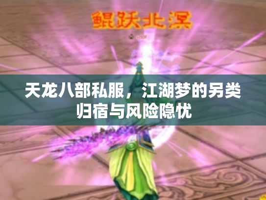天龙八部私服，江湖梦的另类归宿与风险隐忧