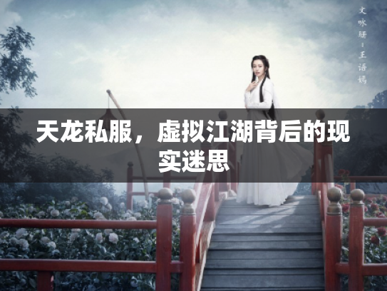 天龙私服，虚拟江湖背后的现实迷思