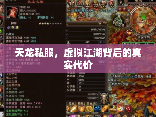 天龙私服，虚拟江湖背后的真实代价