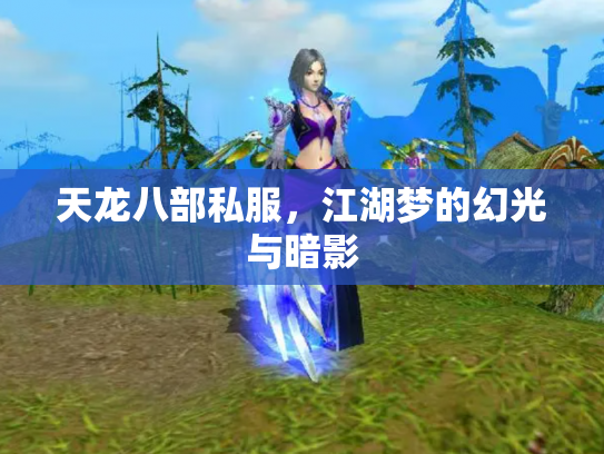 天龙八部私服，江湖梦的幻光与暗影