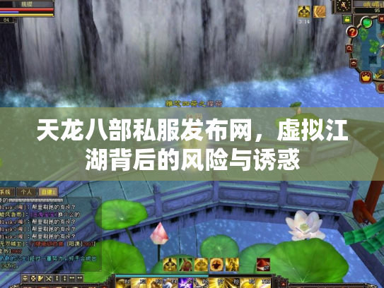 天龙八部私服发布网，虚拟江湖背后的风险与诱惑