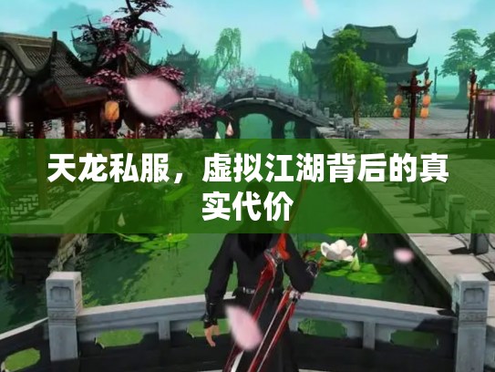 天龙私服，虚拟江湖背后的真实代价
