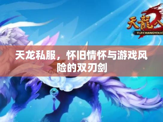 天龙私服，怀旧情怀与游戏风险的双刃剑