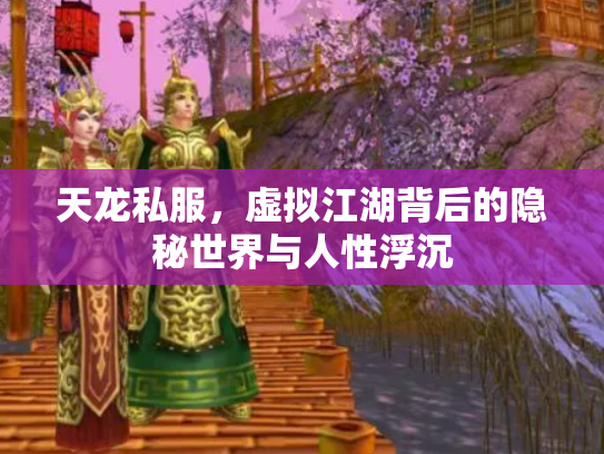天龙私服，虚拟江湖背后的隐秘世界与人性浮沉