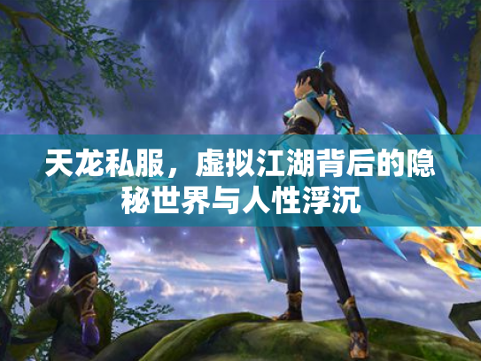 天龙私服，虚拟江湖背后的隐秘世界与人性浮沉
