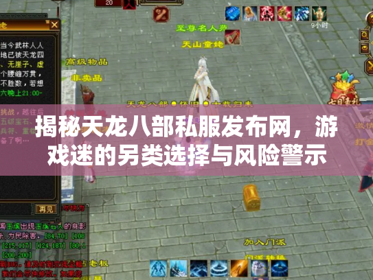揭秘天龙八部私服发布网，游戏迷的另类选择与风险警示