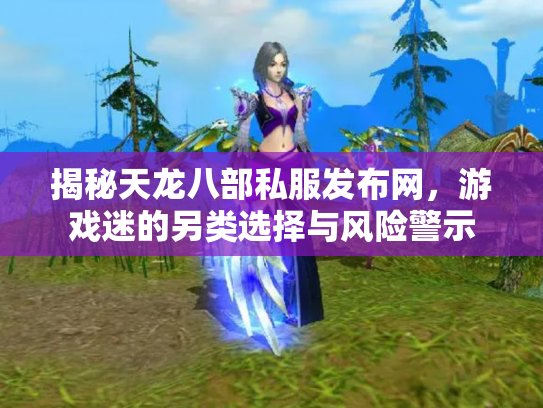 揭秘天龙八部私服发布网，游戏迷的另类选择与风险警示