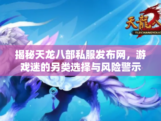 揭秘天龙八部私服发布网，游戏迷的另类选择与风险警示