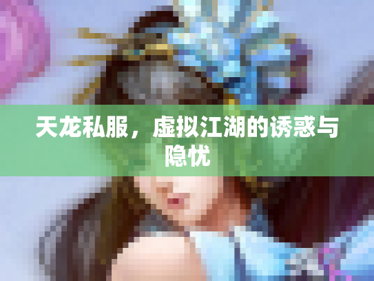 天龙私服，虚拟江湖的诱惑与隐忧