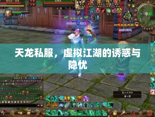 天龙私服，虚拟江湖的诱惑与隐忧