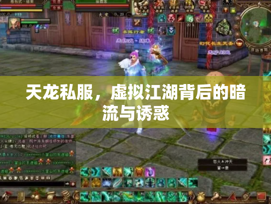 天龙私服，虚拟江湖背后的暗流与诱惑