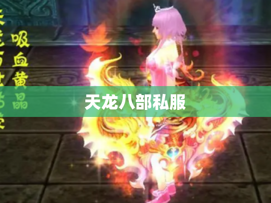 天龙八部私服