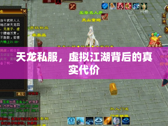 天龙私服，虚拟江湖背后的真实代价