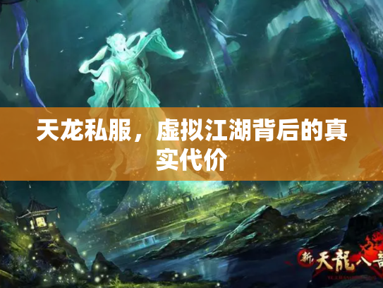 天龙私服，虚拟江湖背后的真实代价
