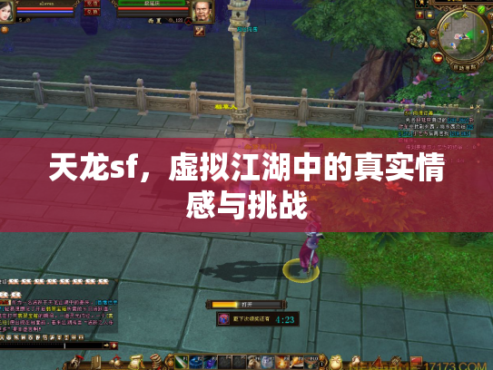 天龙sf，虚拟江湖中的真实情感与挑战