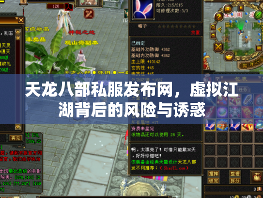 天龙八部私服发布网，虚拟江湖背后的风险与诱惑