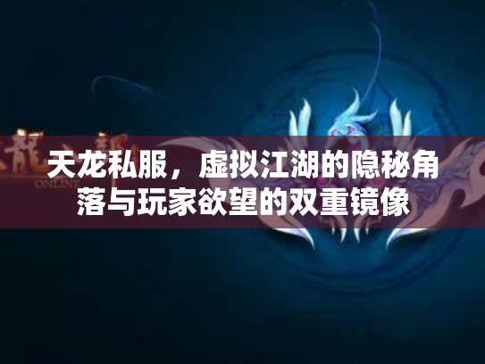 天龙私服，虚拟江湖的隐秘角落与玩家欲望的双重镜像