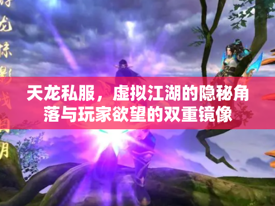 天龙私服，虚拟江湖的隐秘角落与玩家欲望的双重镜像
