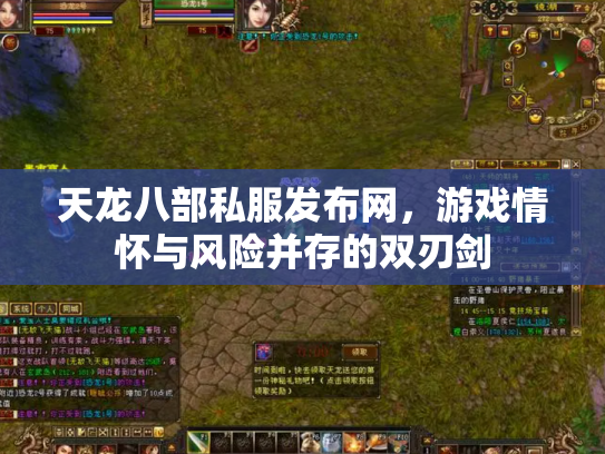 天龙八部私服发布网，游戏情怀与风险并存的双刃剑