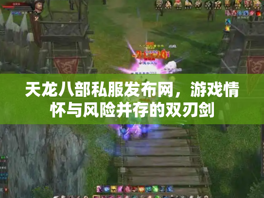 天龙八部私服发布网，游戏情怀与风险并存的双刃剑