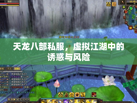 天龙八部私服，虚拟江湖中的诱惑与风险