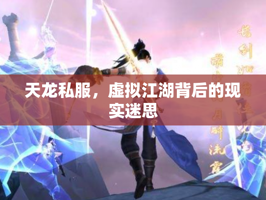 天龙私服，虚拟江湖背后的现实迷思