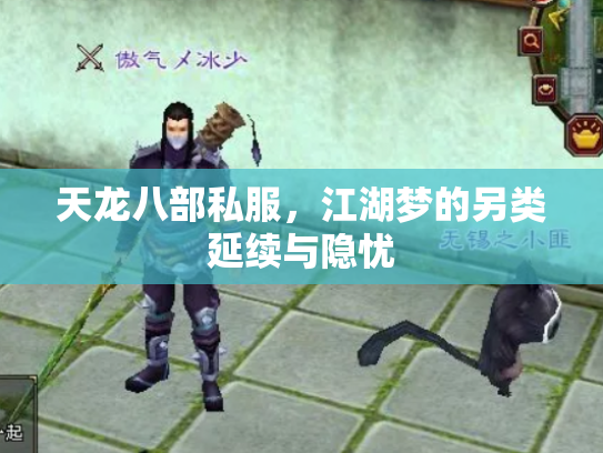 天龙八部私服，江湖梦的另类延续与隐忧