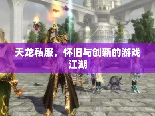 天龙私服，怀旧与创新的游戏江湖